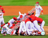 2008 Philadelphia Phillies World Series Champions Photo