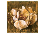 Full of Life II Reproduction procédé giclée par Linda Thompson