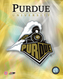 2008 Purdue University Logo Photo