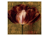 Full of Life I Reproduction procédé giclée par Linda Thompson