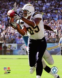 Antonio Gates 2008 Photo