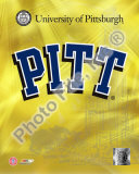 University of Pittsburgh Panthers 2008 Logo Photo