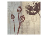 Chocolate Poppy Lámina giclée por Tandi Venter