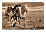 Wait Up Giclee Print by Wendy Caro