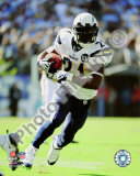 LaDainian Tomlinson 2008 Rushing Photo