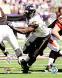 Terrell Suggs Photo
