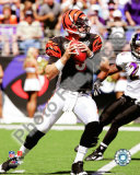 Carson Palmer Photo