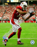Larry Fitzgerald 2008 NFC Championship Photo