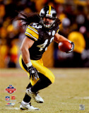 Troy Polamalu 2008 AFC Championship Photo