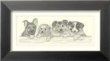 Dog Day Afternoon I Prints by Steve O'Connell