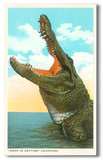 Gaping Alligator, Louisiana Wood Sign