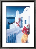 Bougainvillaea Pots Arte por Georges Meis Bougainvillaea Pots Arte por Georges Meis