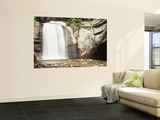 Waterfall in the Forest, Pisgah National Forest, Brevard, North Carolina, USA Wall Mural