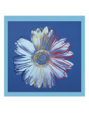 Daisy, c.1982  (blue on blue) Poster par Andy Warhol