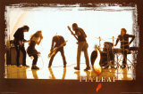 Flyleaf Posters