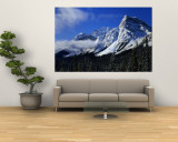 Rocky Mountains, Winter, Alberta, Canada Wall Mural