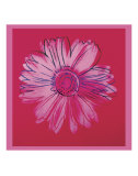 Daisy, c.1982  (crimson and pink) Posters by Andy Warhol