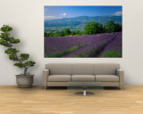Flowers in Field, Lavender Field, La Drome Provence, France Malowidło ścienne Flowers in Field, Lavender Field, La Drome Provence, France Malowidło ścienne