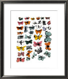 Perhoset (Butterflies), 1955 Taide tekijänä Andy Warhol