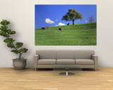 Cows, Canton Zug, Switzerland Wall Mural