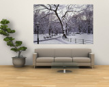 Bare Trees During Winter in Central Park, Manhattan, New York City, New York, USA Wall Mural