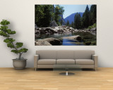 Mountain Behind Pine Trees, Tenaya Creek, Yosemite National Park, California, USA Wall Mural