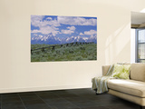 Clouded Sky Over Snow Covered Mountains, Grand Teton, Grand Teton National Park, Wyoming, USA Wall Mural