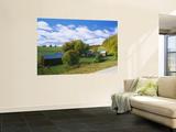 Barns Near a Road, Jenny Farm, Vermont, New England, USA Wall Mural