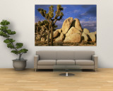Joshua Tree National Park, California, USA Wall Mural