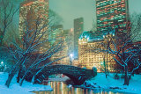 Central Park Posters