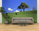 Cows, Canton Zug, Switzerland Wall Mural – Large
