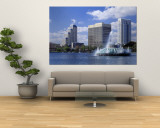 Orlando, Florida, USA Wall Mural