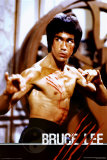 Bruce Lee Poster