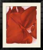 Cana roja Póster por Georgia O'Keeffe Cana roja Póster por Georgia O'Keeffe