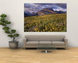 Flowers in a Field, Glacier National Park, Montana, USA Wall Mural