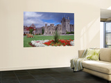 Ashford Castle, Ireland Mural