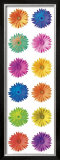 Pop Art Daisy Posters by Anthony Matos
