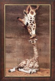 Makulu Posters par Ron D'Raine