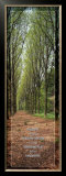 Serenity Prayer Prints by Richard Berenholtz
