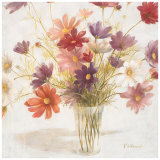 Casual Cosmos Prints by Fabrice De Villeneuve