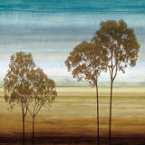 Repose II Affiche par Chris Donovan