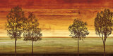 Sunset Vista II Posters by Chris Donovan