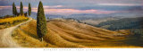 Four Cypress Art by Barbara Carter