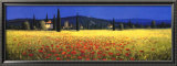 Tuscan Panorama, Poppies Kunstdruck von David Short