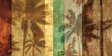 Palm Shadows II Prints by John Seba Palm Shadows II Prints by John Seba