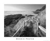 Pathway to Beach Planscher av Dennis Frates