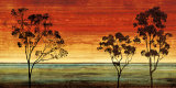 Sunset Vista I Art by Chris Donovan