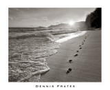 Dennis Frates - Kauai, Hawaii - Poster Dennis Frates - Kauai, Hawaii - Poster