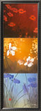 Aura Affiches par Don Li-Leger