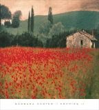 Poppies II Print by Barbara Carter